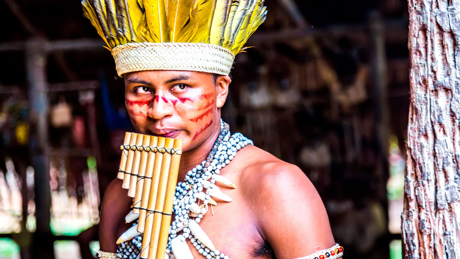 A journey trought indigenous culture - Compass Brazil